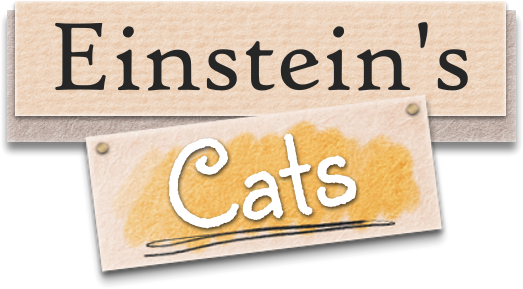 Paws and Puzzles: Einstein’s Cats Delivers Cozy Logic on March 31st
