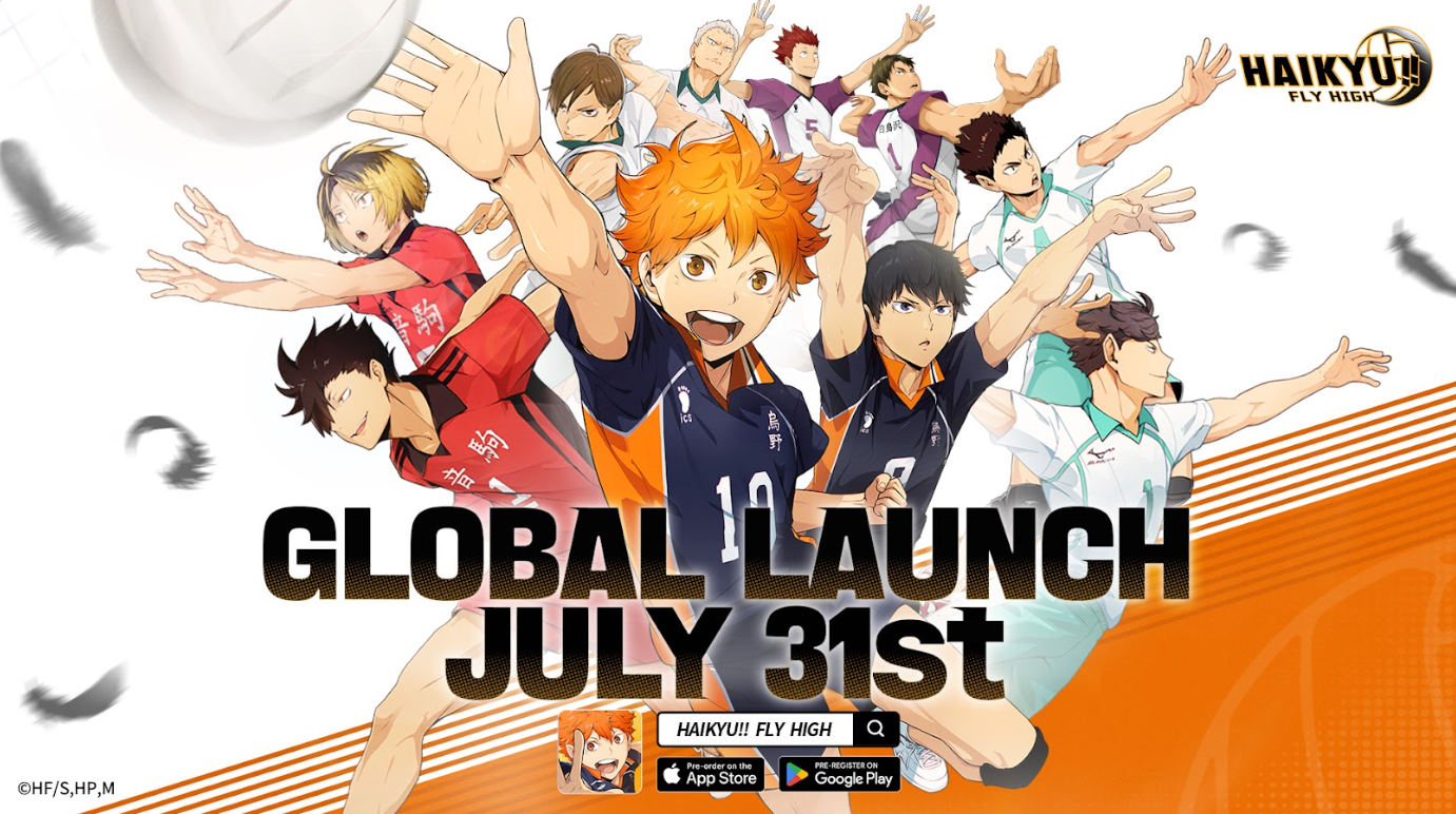 HAIKYU!! FLY HIGH